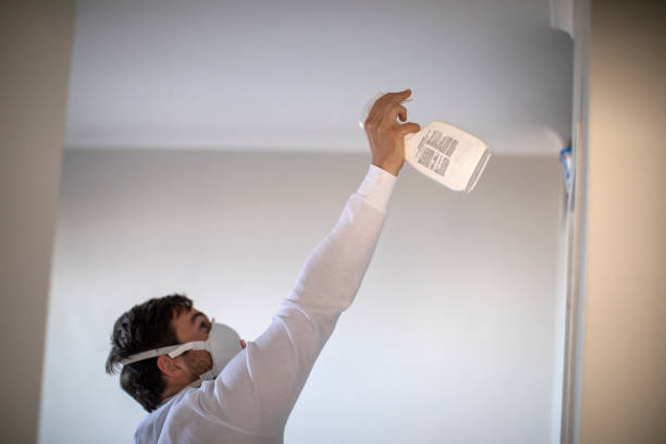 Best Mold Removal Near Me  in Tonawanda, NY