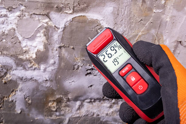 Home Mold Removal in Tonawanda, NY